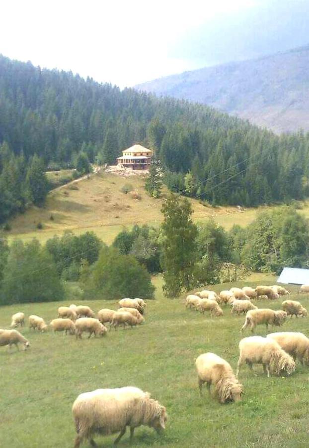 Villa Isov Ranch Plav Esterno foto