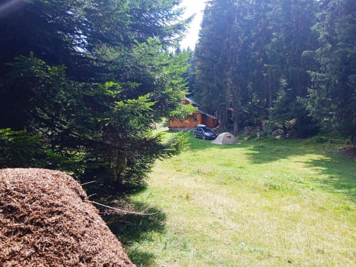 Villa Isov Ranch Plav Esterno foto