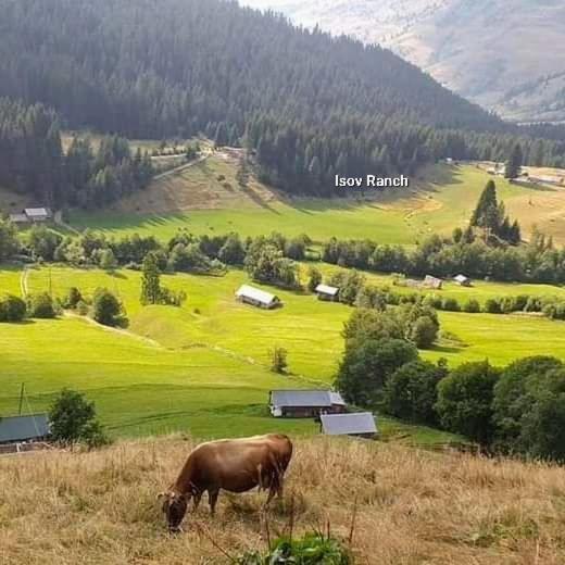 Villa Isov Ranch Plav Esterno foto