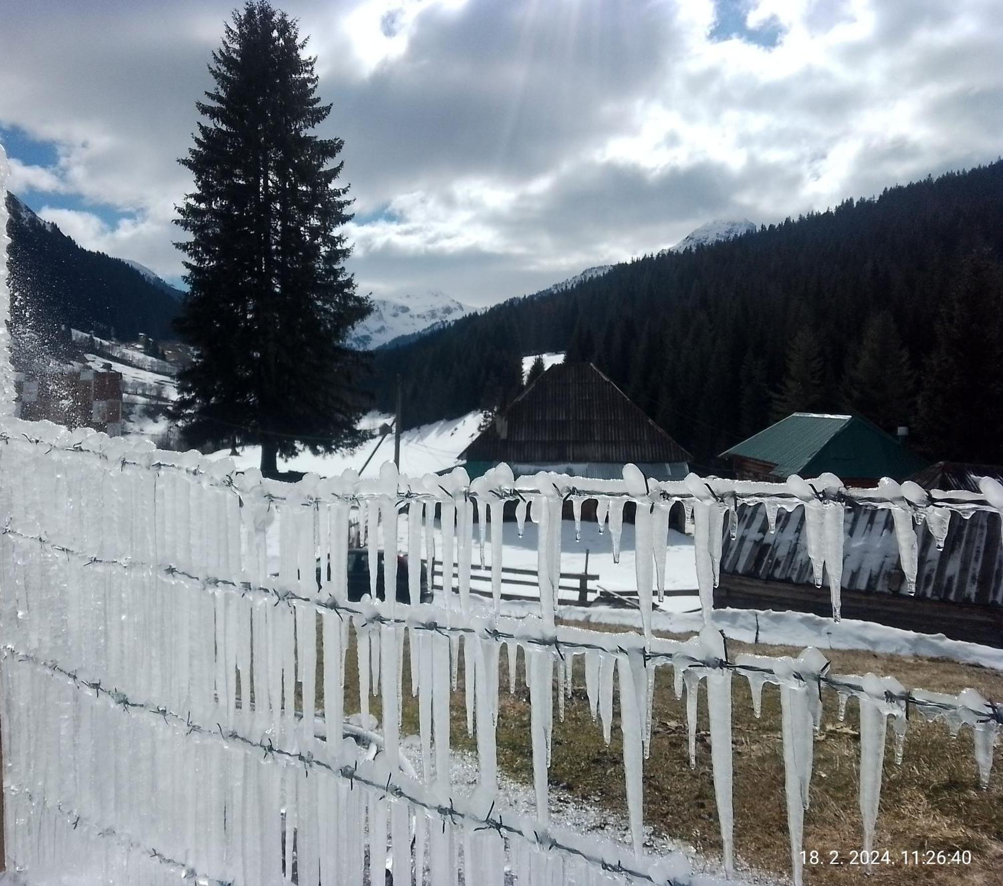 Villa Isov Ranch Plav Esterno foto