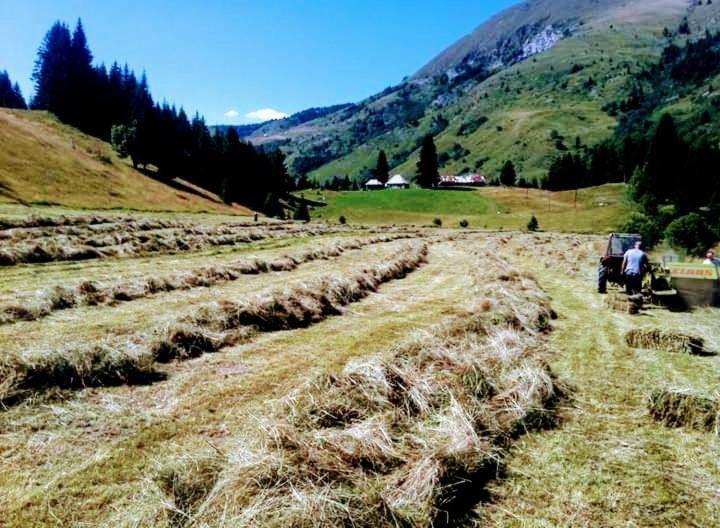 Villa Isov Ranch Plav Esterno foto