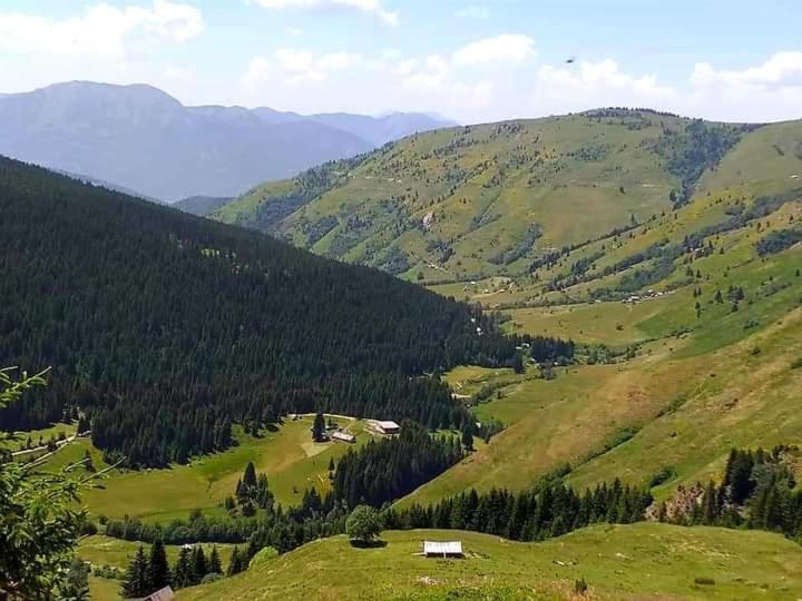 Villa Isov Ranch Plav Esterno foto