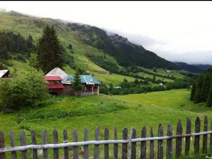 Villa Isov Ranch Plav Esterno foto