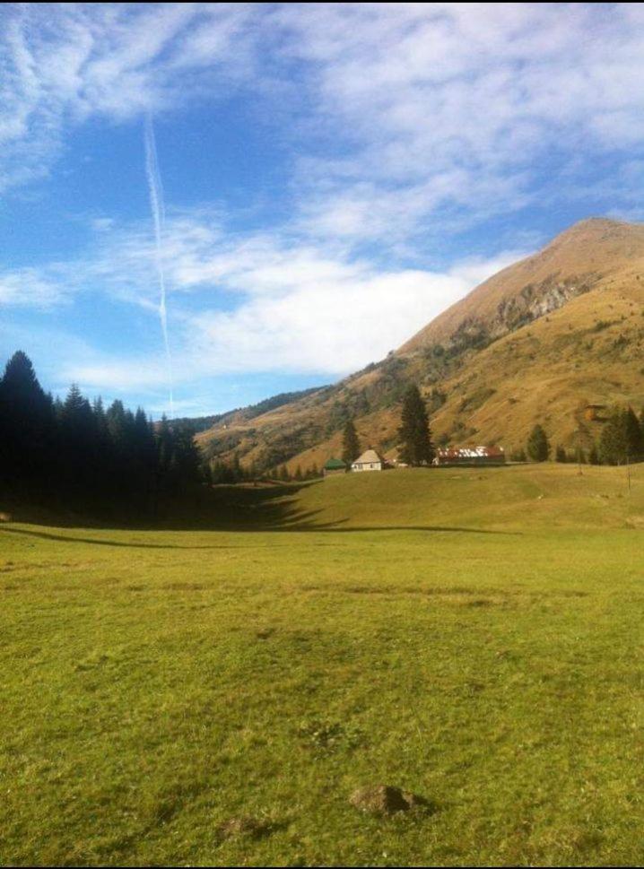 Villa Isov Ranch Plav Esterno foto