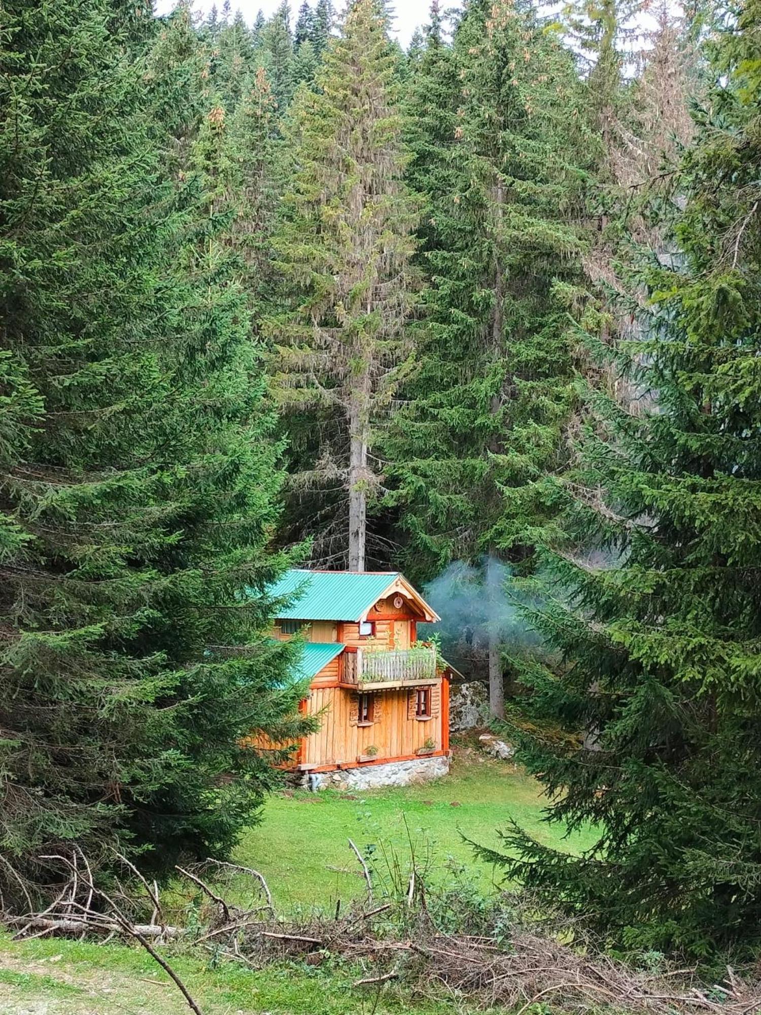 Villa Isov Ranch Plav Esterno foto